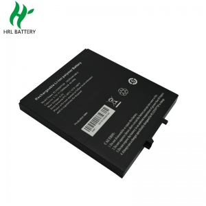 Rechargeable Lithium-Ion Polymer Battery Pack 3.7V 10000mAh 12000mAh Pl529597 for Medical Equipment